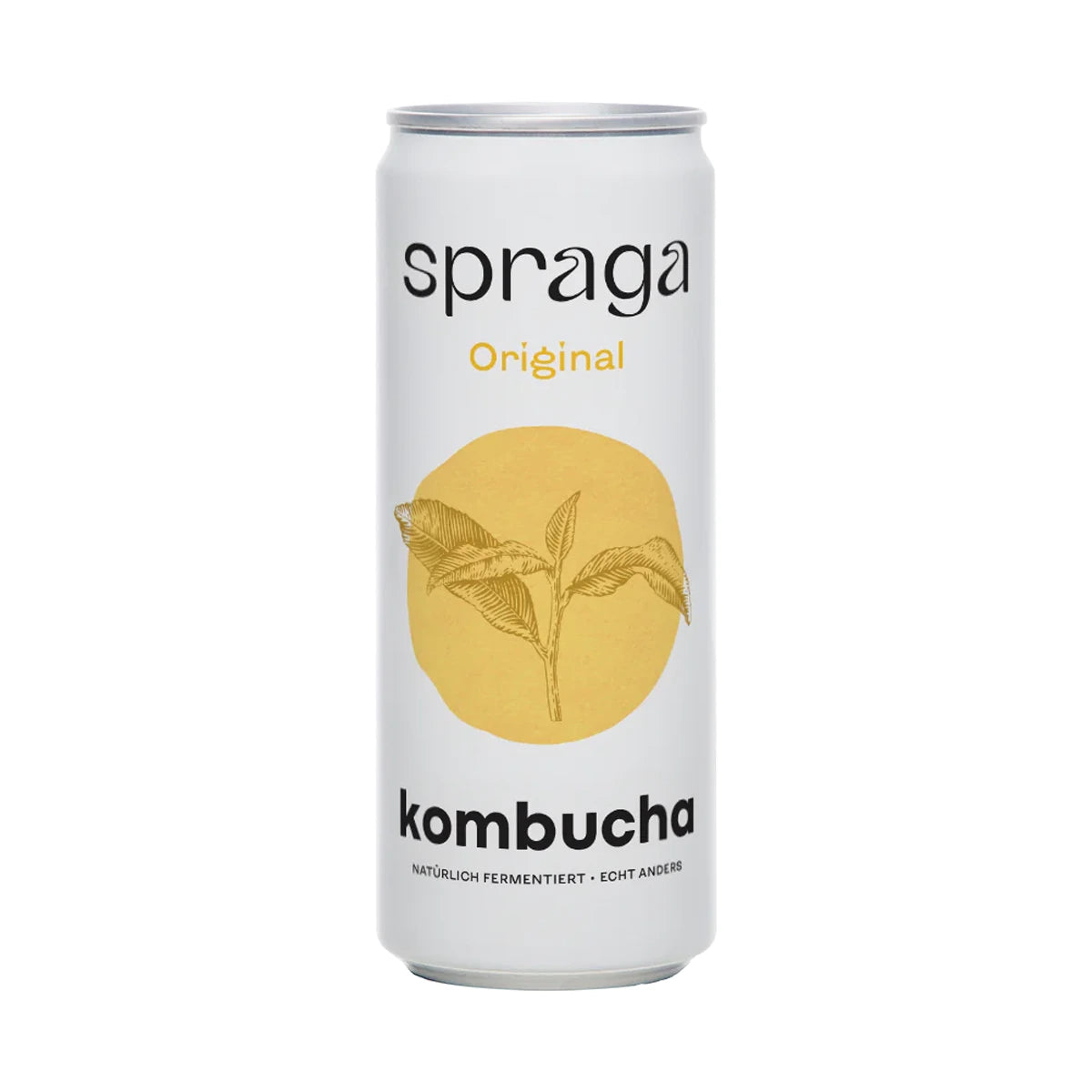 Spraga Organic Classic Kombucha Drink 12 x 330ml - FODA Warehouse