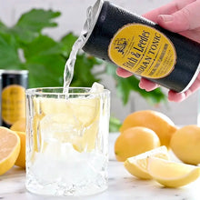 Fitch & Leedes Indian Tonic 200ml - Case of 24 Lifestyle