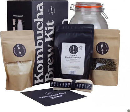 Holos Organic Kombucha Home Brew Starter Kit Gift with SCOBY