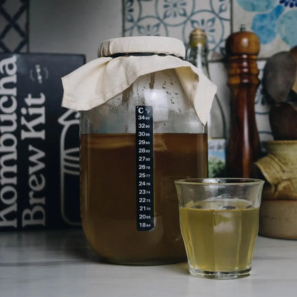 Holos Organic Kombucha Home Brew Starter Kit Gift with SCOBY