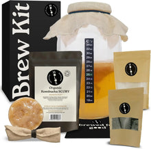 Holos Organic Kombucha Home Brew Starter Kit Gift with SCOBY
