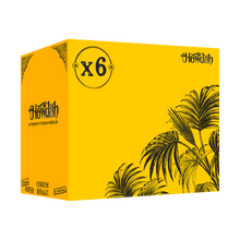 Howdah Snacks - Onion Bhaji Snacks 6 x 150g