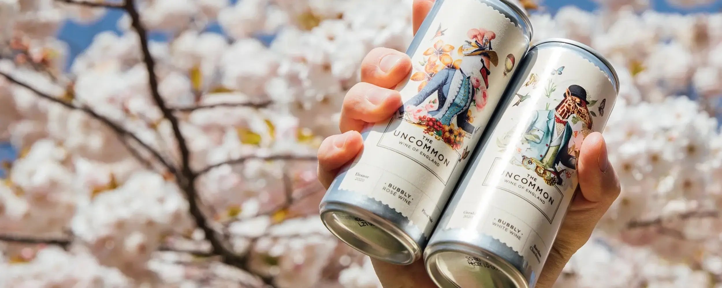 Two cans Uncommon Wine held in front of a cherry blossom tree