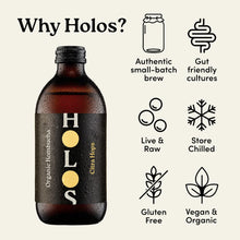 Holos Organic Kombucha Mixed Pack 330ml 
