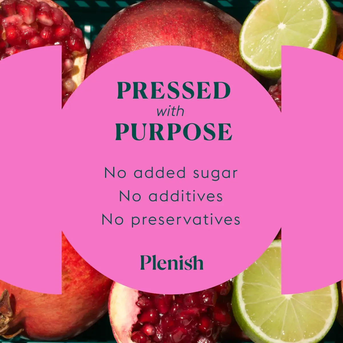 Plenish Berry Gut Health