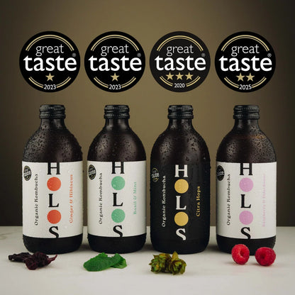 Holos Organic Kombucha Mixed Pack 330ml 