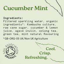 Holos Cucumber Mint Organic Sparkling Tea 250ml - Case of 12