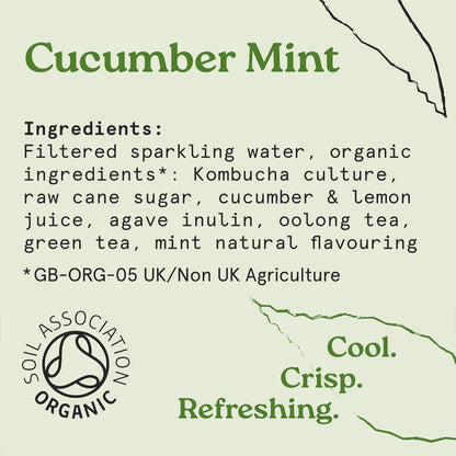 Holos Cucumber Mint Organic Sparkling Tea 250ml - Case of 12