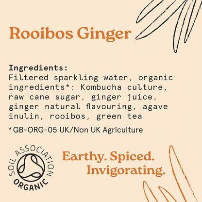 Holos Rooibos Ginger Organic Sparkling Tea 250ml - Case of 12