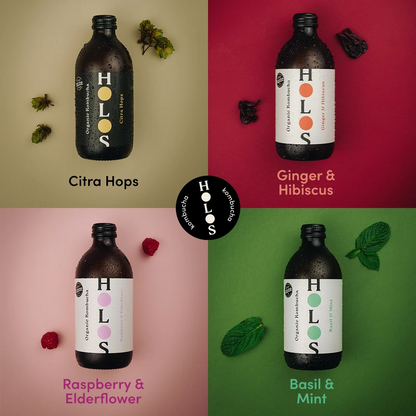 Holos Organic Kombucha Mixed Pack 330ml 