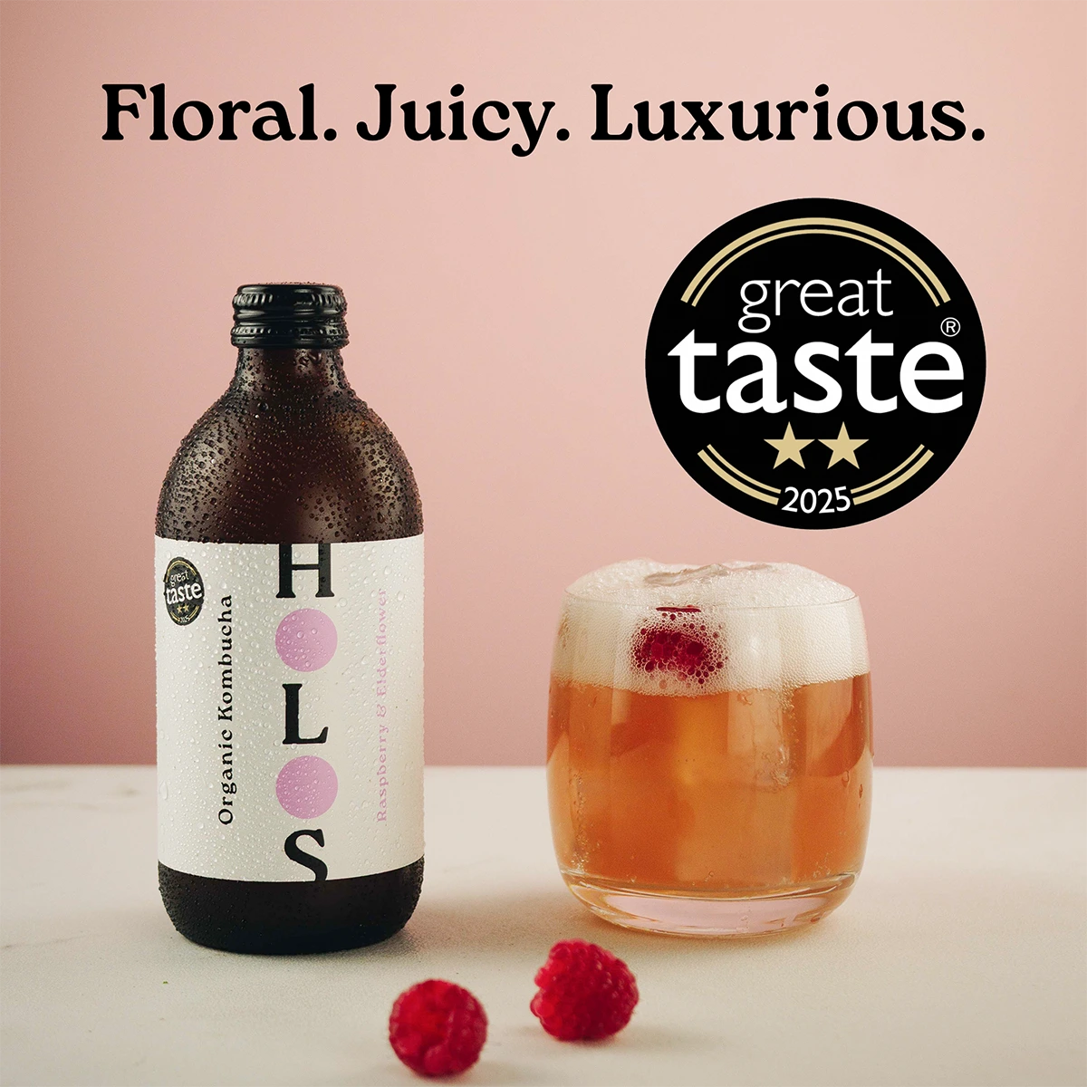 Holos Raspberry & Elderflower Organic Kombucha 330ml - Case of 12