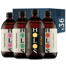 Holos Organic Kombucha 330ml Mixed Pack of 36