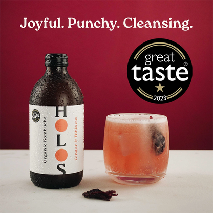 Holos Ginger & Hibiscus Organic Kombucha 330ml - Case of 12